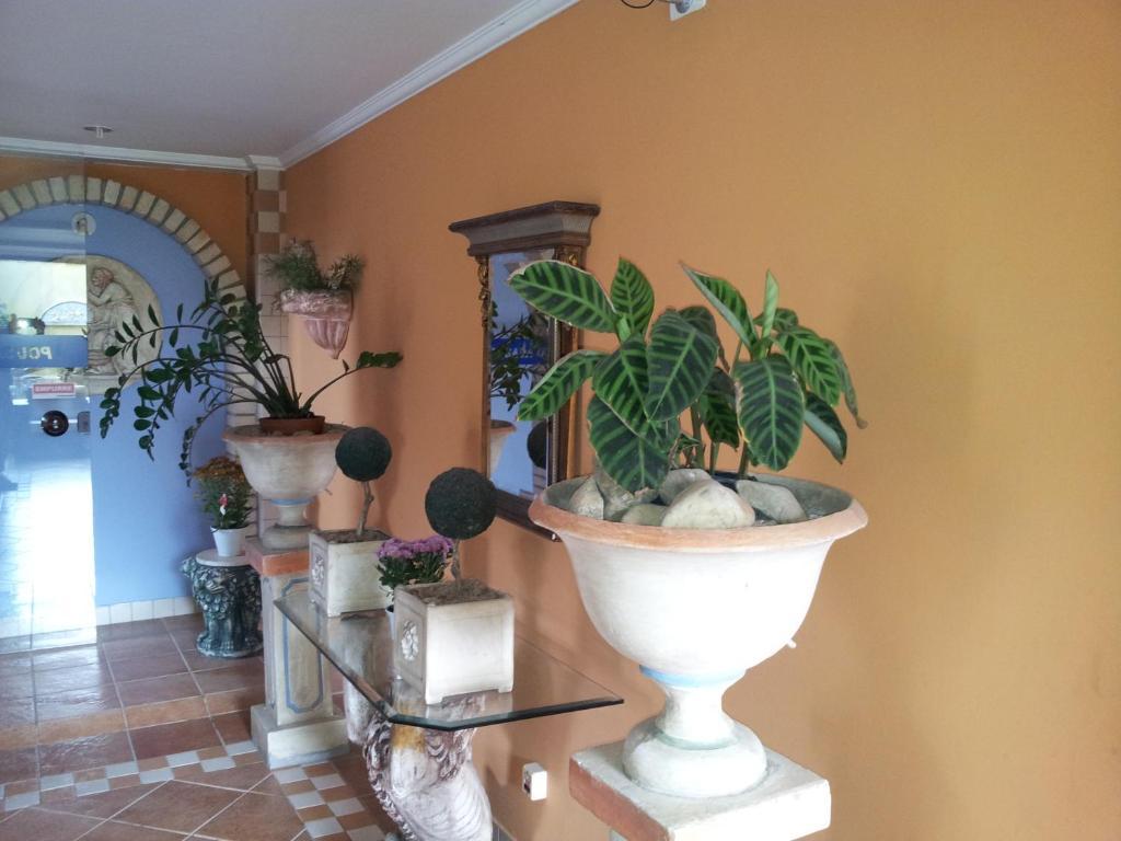 Pousada Do Leao Florianopolis Exterior photo